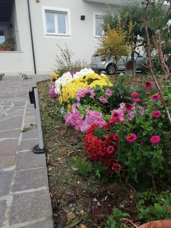 La Nuova Dimora B&B ลาควิลา ภายนอก รูปภาพ